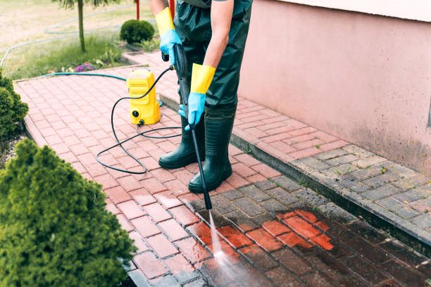 Animal Enclosure Cleaning in Juarez, TX